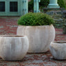 Coronado Planter Set